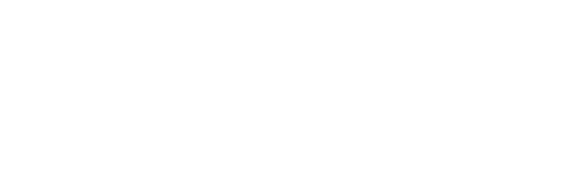 fast mural logo white